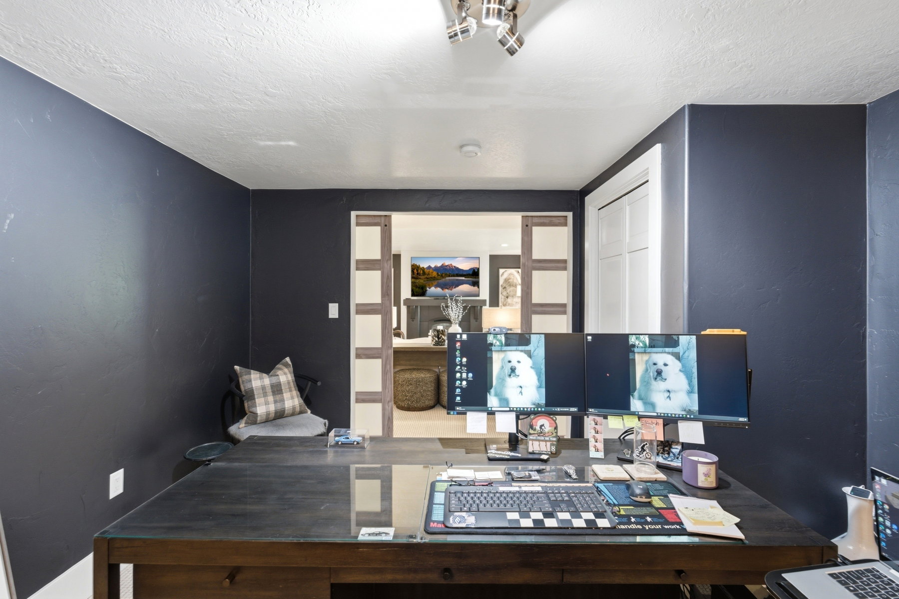 Interior space featuring dark walls, white ceiling, and a dark wood-finish desk