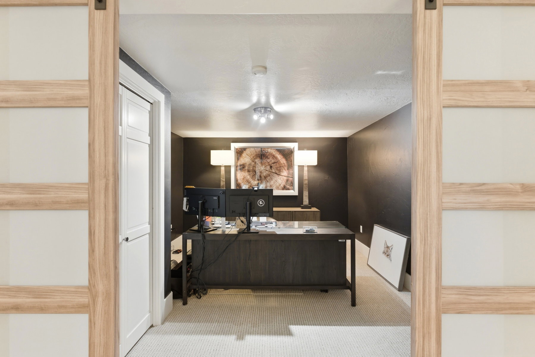 Sliding barn door with frosted glass panels and wood-finish framing