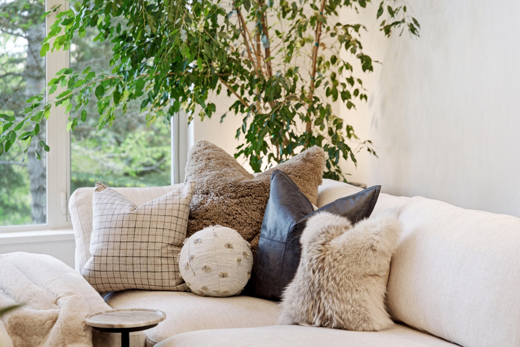 Bright interior space featuring a window with exterior tree-lined scenery
