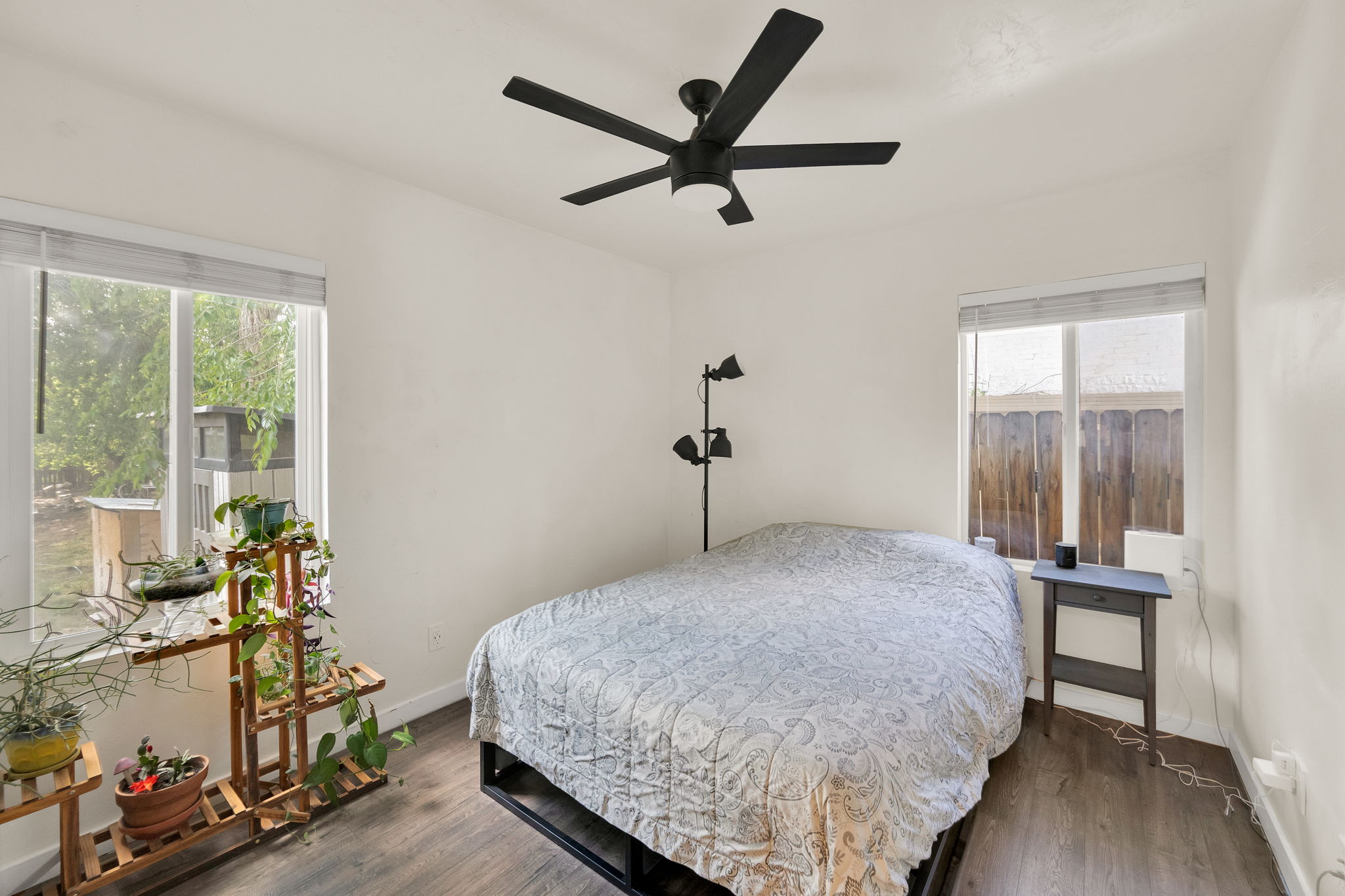 Bedroom featuring two windows, wood-finish flooring, and a modern ceiling fan