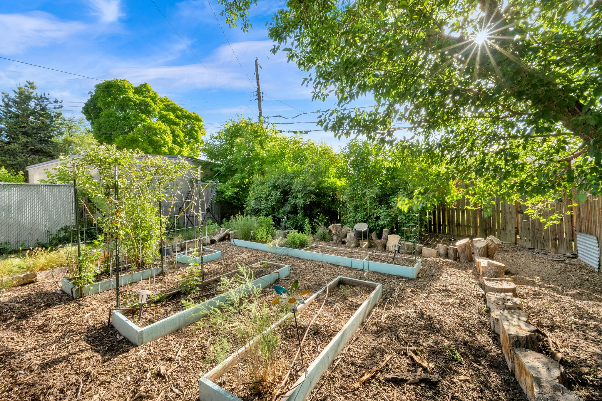 Expansive backyard garden featuring multiple raised garden beds with established plantings, wood chip ground cover, and a combination of wood and chain-link fencing