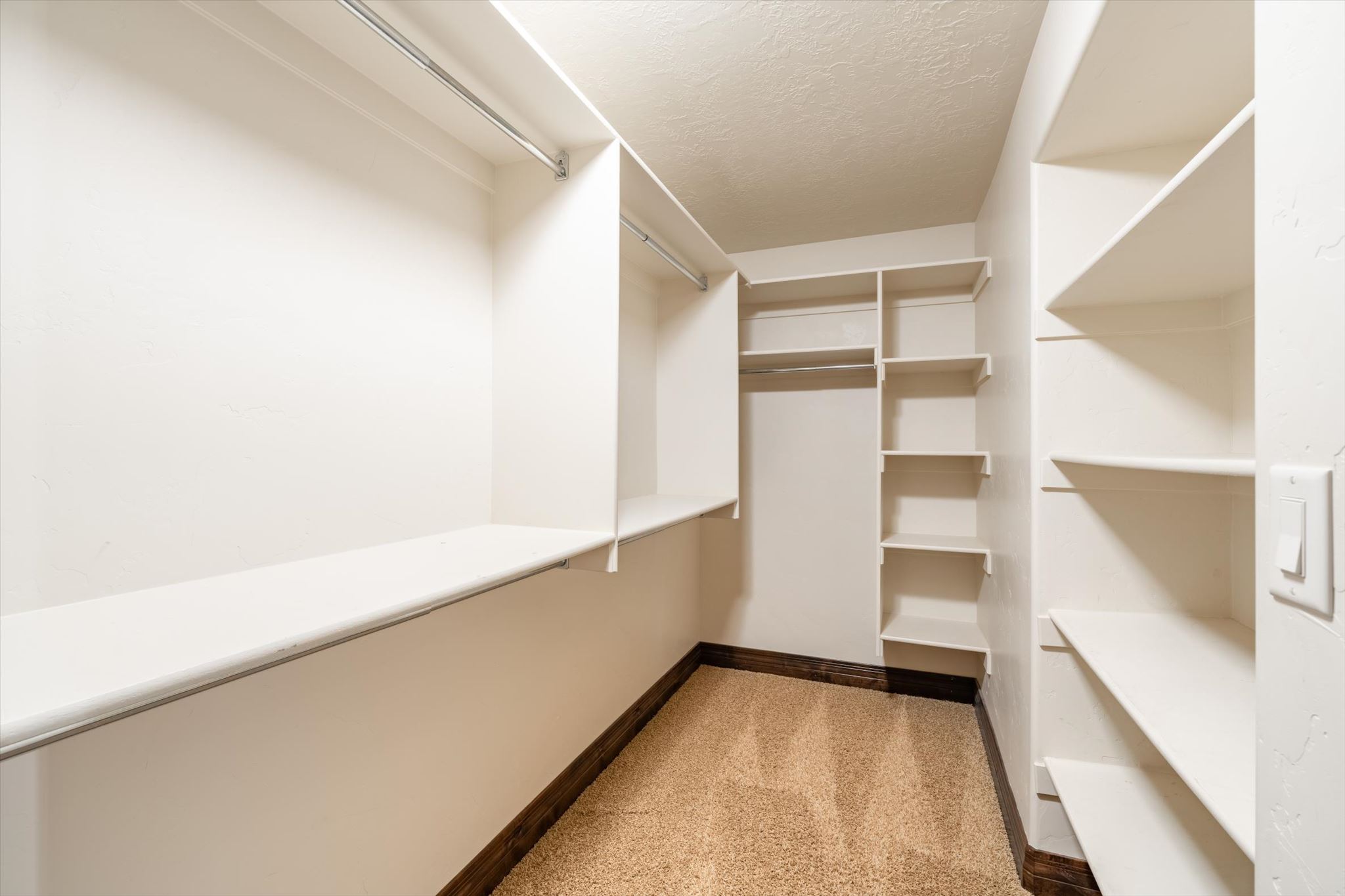 Walk-in closet with carpet flooring, extensive built-in shelving, and multiple hanging rods