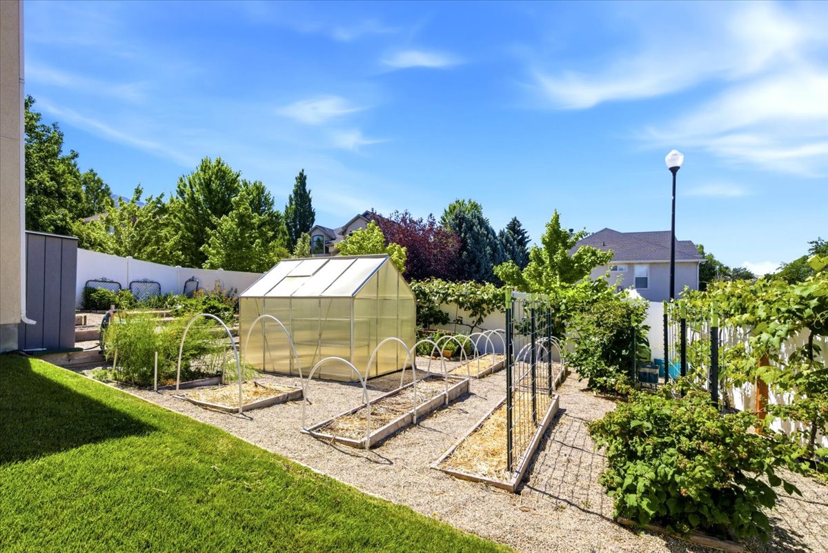 Great garden space