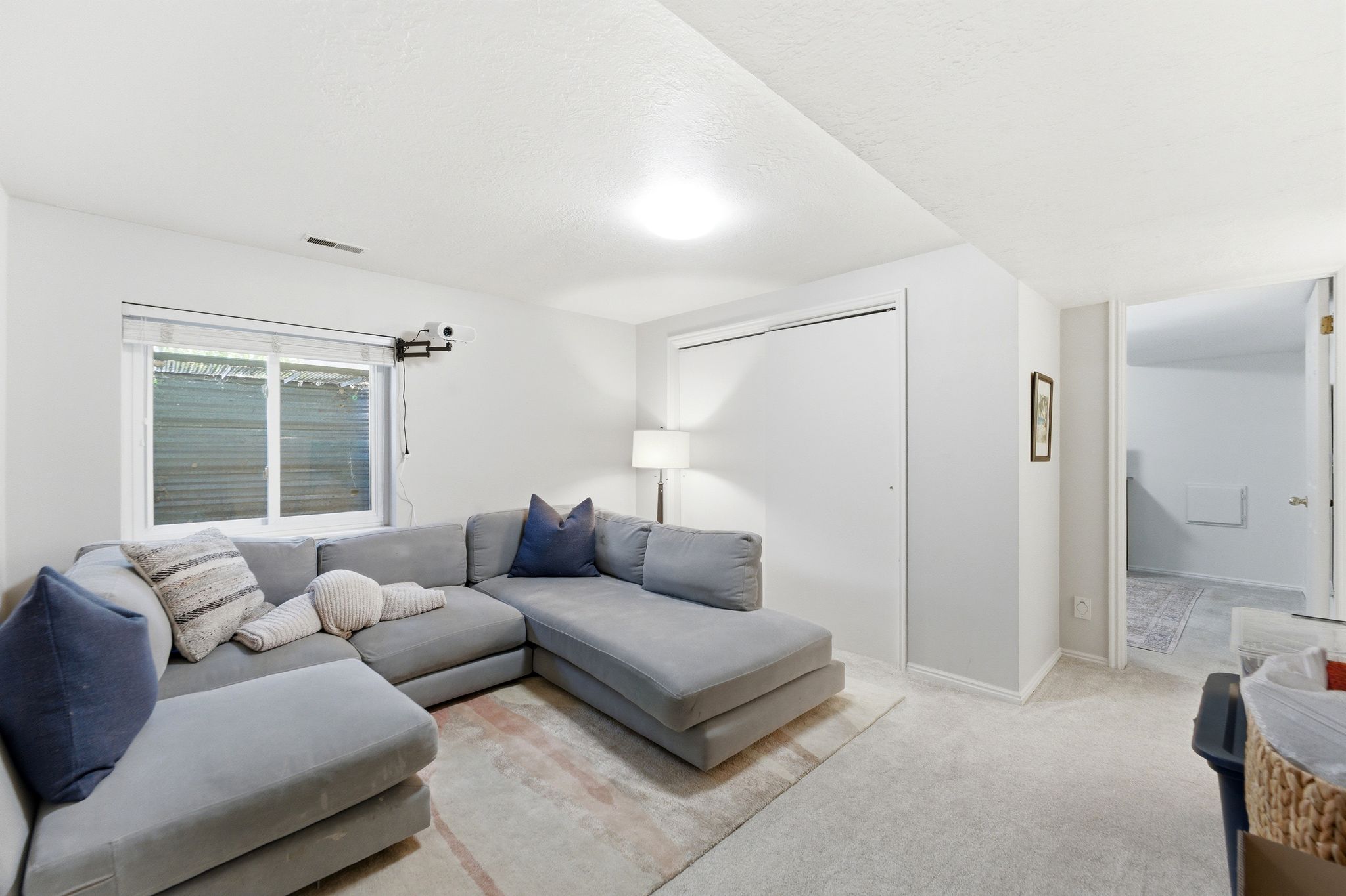 Lower Level TV/Media Room