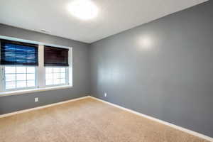 Bright interior space featuring two windows with horizontal blinds, neutral carpet flooring, and a flush mount ceiling light fixture