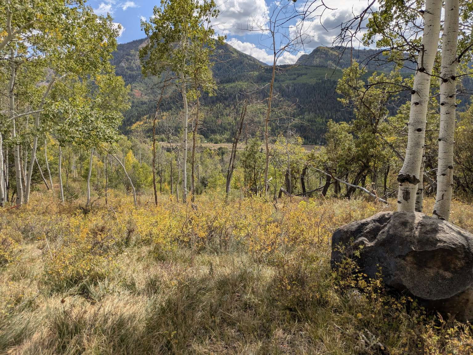 Natural landscape featuring a backdrop of distant mountains