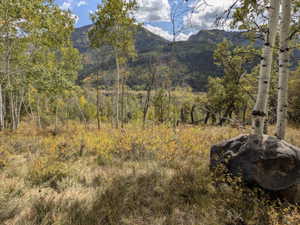 Natural landscape featuring a backdrop of distant mountains