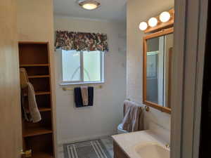 Built-in wood-finish shelving, single vanity with integrated sink, brass-finish faucet, framed mirror with overhead vanity lighting, and a frosted window