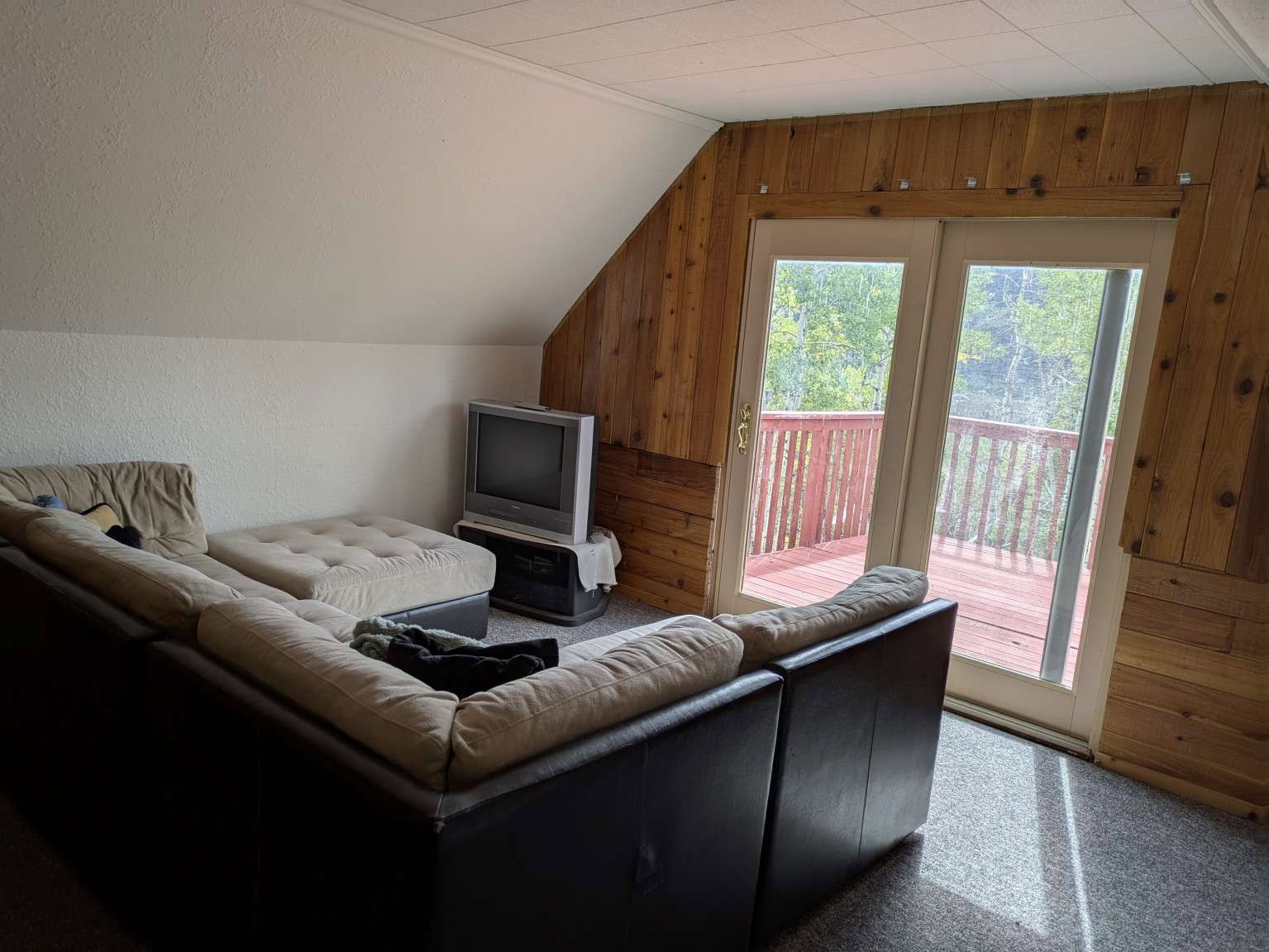Room featuring wood-paneled walls, a sloped ceiling, and light-colored carpeting