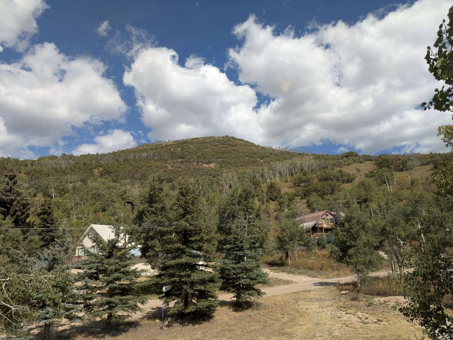 Mountainous landscape featuring a prominent forested hillside