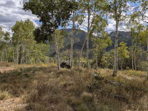 Expansive natural landscape featuring mature aspen trees, varied natural ground cover, a prominent large boulder, and a mountain backdrop