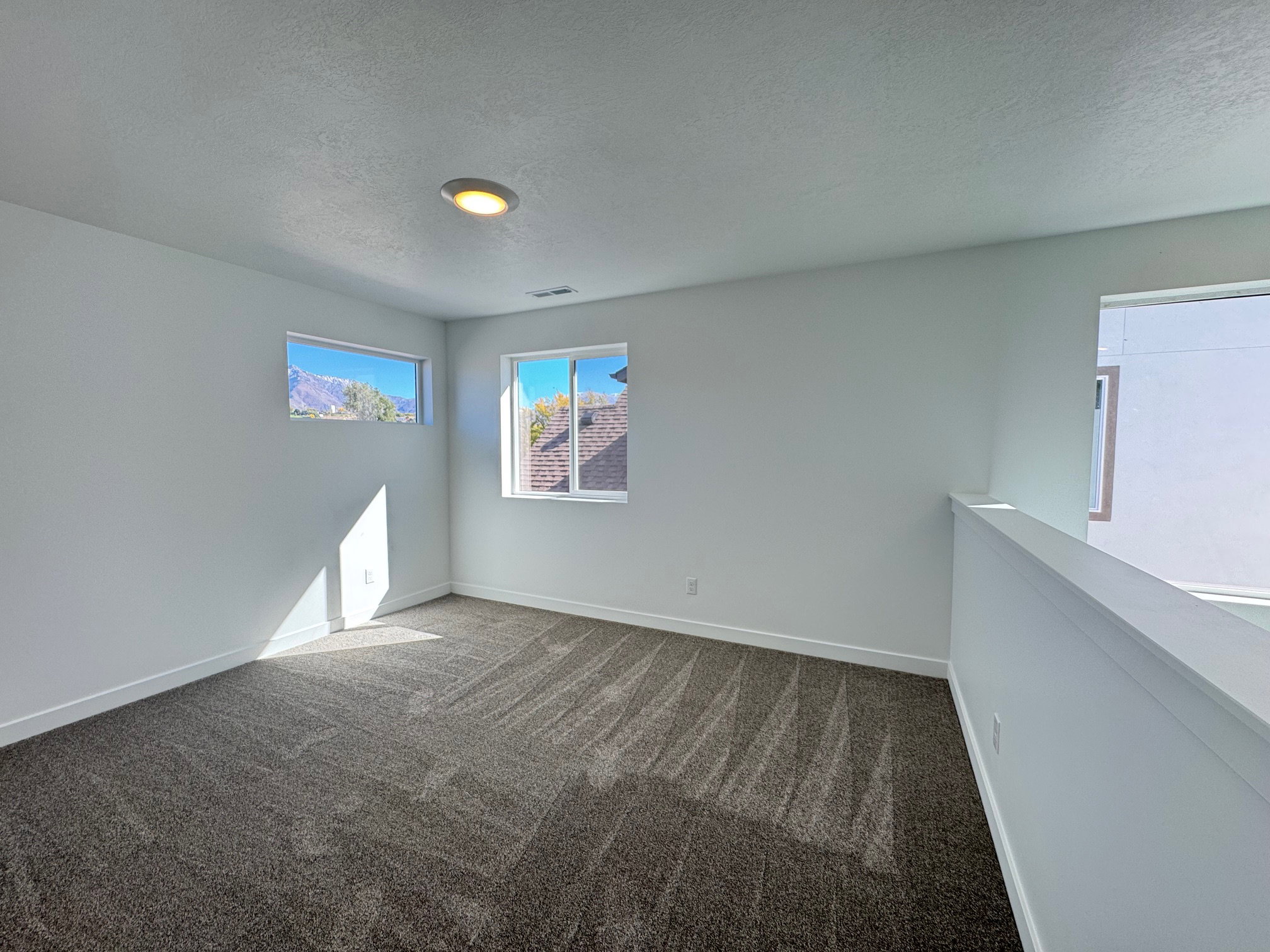 Open loft space featuring plush gray carpet, bright white walls, a single ceiling light fixture, and two windows