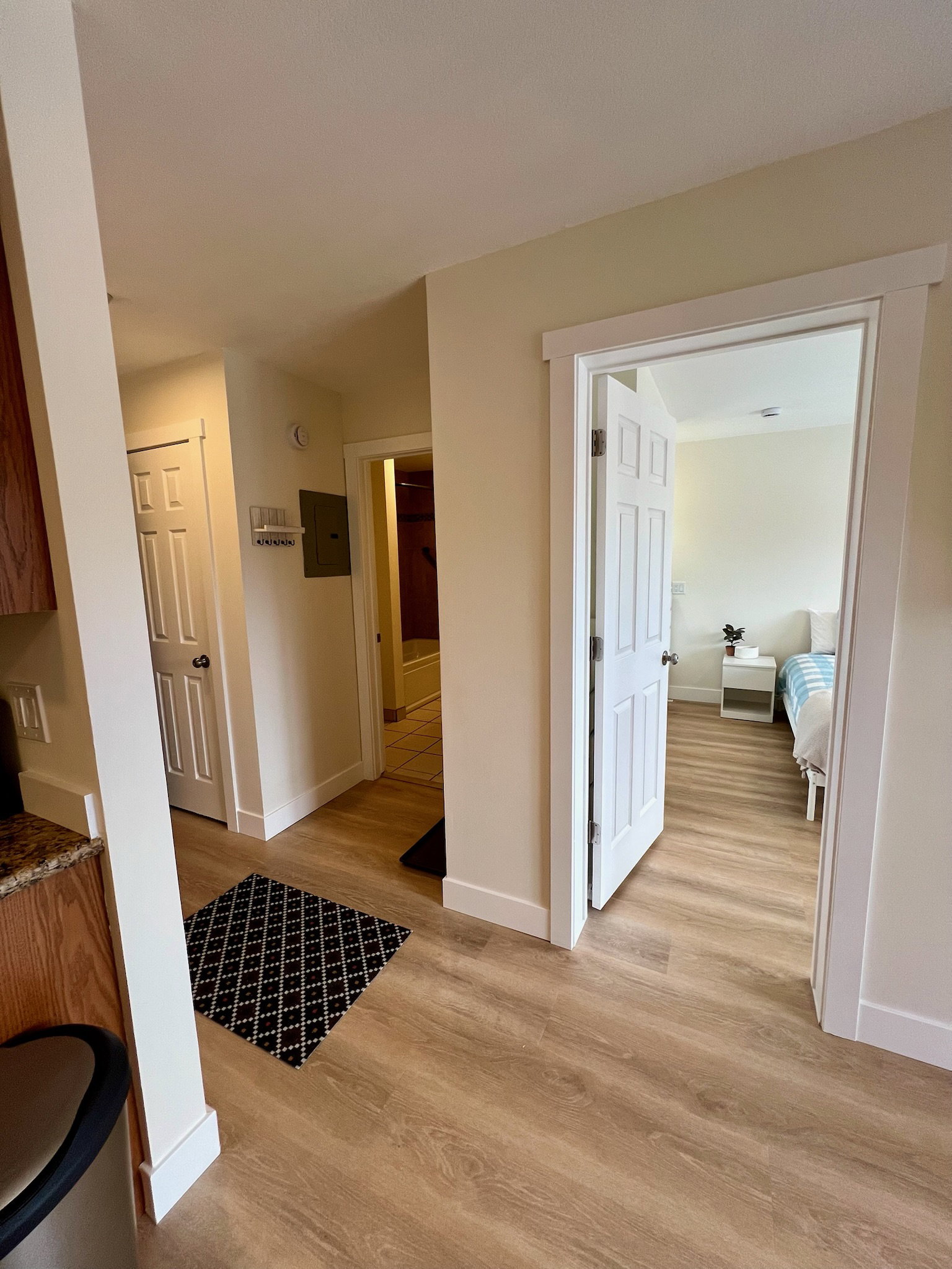 Wood-finish flooring throughout, featuring a white paneled door with dark hardware, a contrasting dark patterned mat, and light-toned walls