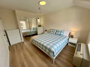 Bedroom featuring wood-finish flooring, a contemporary ceiling light fixture, and a mirrored sliding closet door