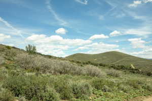 Rolling hillsides featuring diverse natural foliage and distant terrain