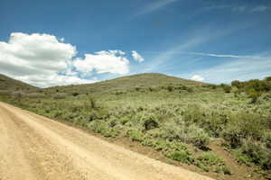 Dirt road bordering a grassy hillside with scattered brush