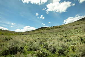 Expansive hillside terrain featuring varied native vegetation, including sagebrush and scattered deciduous trees