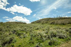 Expansive natural landscape featuring rolling hills, abundant green foliage, and a clear blue sky with white clouds