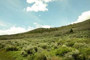 Expansive hillside property featuring diverse native vegetation and a broad sky