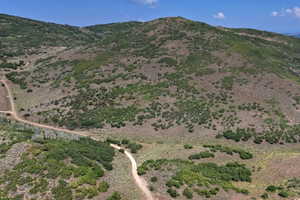 Expansive hillside terrain featuring scattered green foliage and a visible dirt road