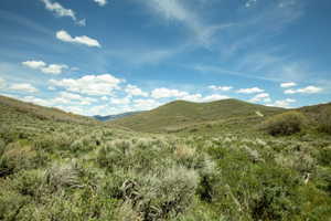 Expansive natural landscape featuring rolling hills and varied green vegetation under a broad blue sky with scattered clouds