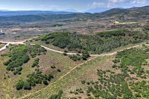 Expansive acreage featuring natural vegetation, gently rolling hills, and a winding dirt road