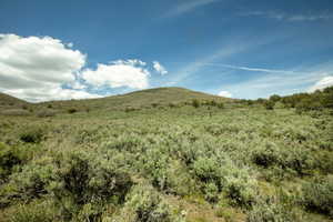 Expansive hillside property featuring natural vegetation and open land