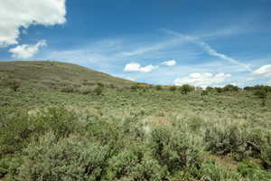 Expansive rolling terrain featuring natural shrubbery and varied vegetation