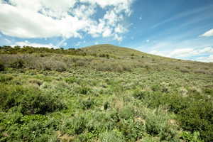 Expansive natural terrain featuring diverse scrubland vegetation and varying elevations