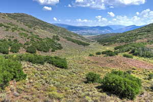 Expansive mountainous terrain featuring varied green foliage, rugged slopes, and distant mountain ranges under a clear sky