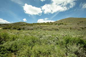 Expansive undeveloped land featuring rolling hills and varied natural vegetation