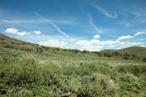 Expansive natural landscape featuring rolling hills and varied vegetation