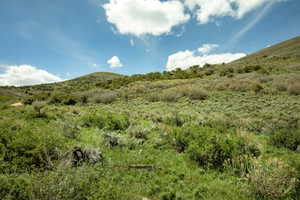 Rolling hillsides featuring natural vegetation and a clear sky