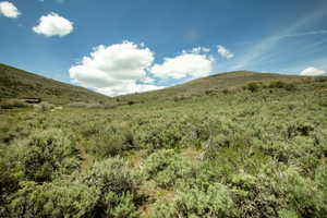 Expansive hillside property featuring natural vegetation, a distant structure, and a clear blue sky
