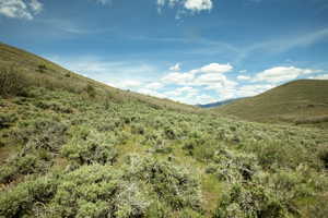 Expansive natural landscape featuring rolling hills and abundant green foliage under a vast blue sky with white clouds