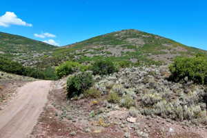 Unpaved road winding through a mountainous landscape with varied scrub brush and green foliage under a clear blue sky with white clouds