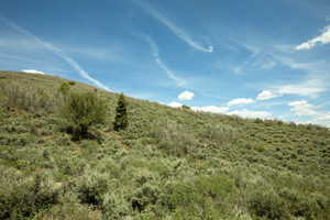 Expansive hillside property featuring natural vegetation and a clear blue sky