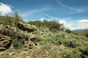 Varied topography featuring rock formations, sparse trees, and scrub brush