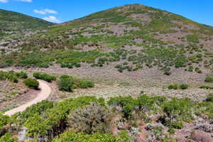 Expansive undeveloped land featuring rolling hills and a winding dirt road