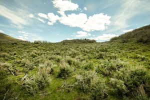 Expansive hillside property featuring natural shrubbery and varied green vegetation