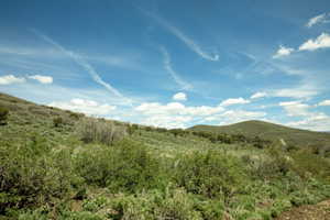 Expansive rolling hills featuring natural vegetation, a clear blue sky, and distant mountain ranges
