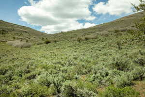 Expansive hillside terrain featuring natural vegetation
