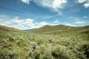 Expansive, undulating terrain featuring diverse natural vegetation and distant hills under a vast sky