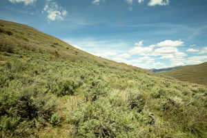 Expansive hillside terrain featuring varied native vegetation