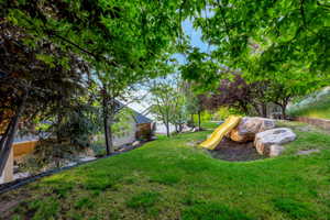 Expansive grassy lawn with established trees providing natural shade