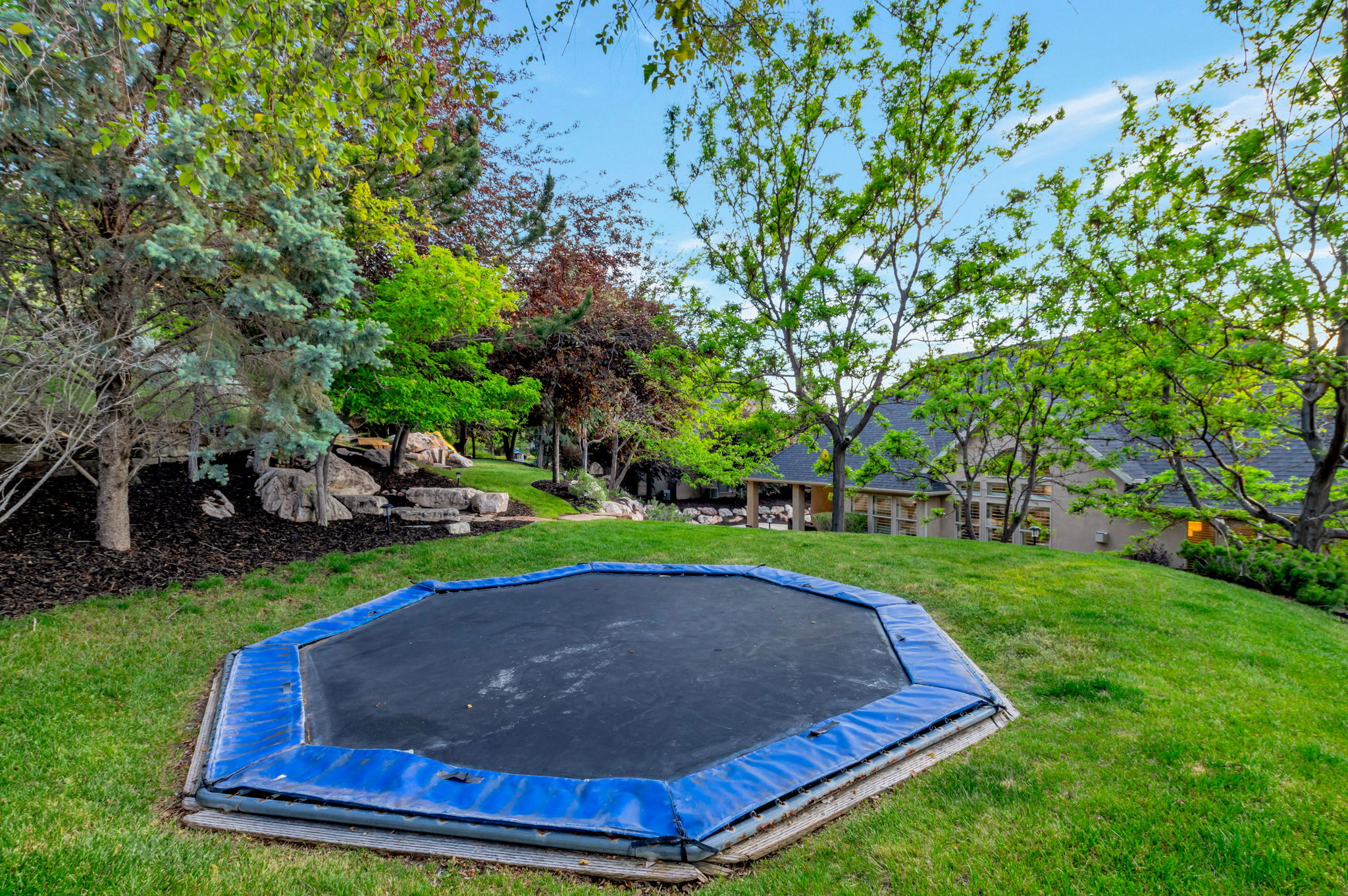 Expansive backyard offering mature trees, open green space, and endless possibilities for recreation, relaxation, or play.