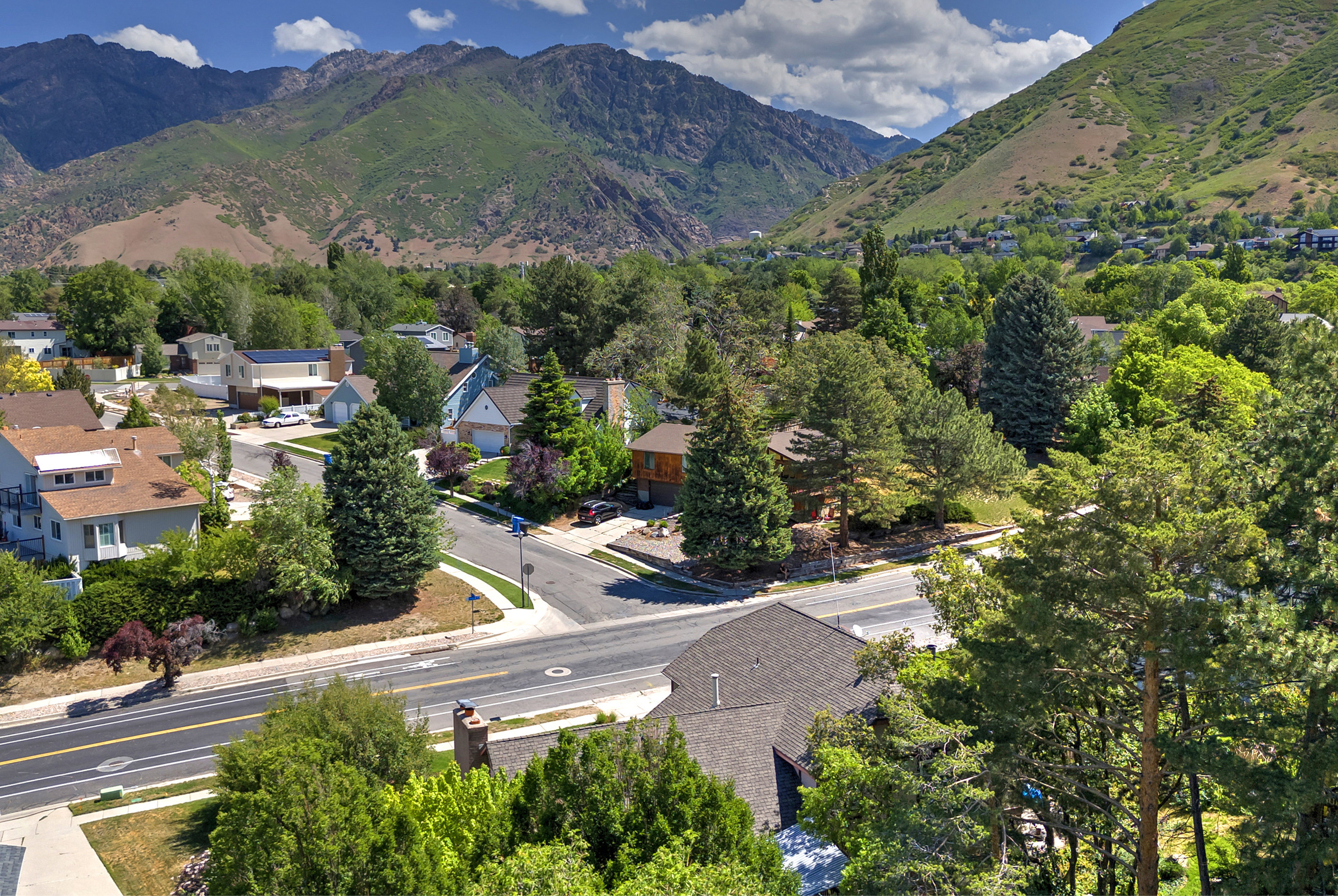 Residential neighborhood featuring mature trees and mountain backdrops