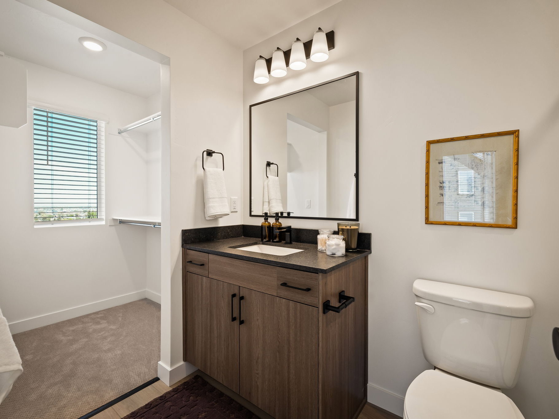 Bathroom featuring a wood-finish vanity with a dark countertop and undermount sink