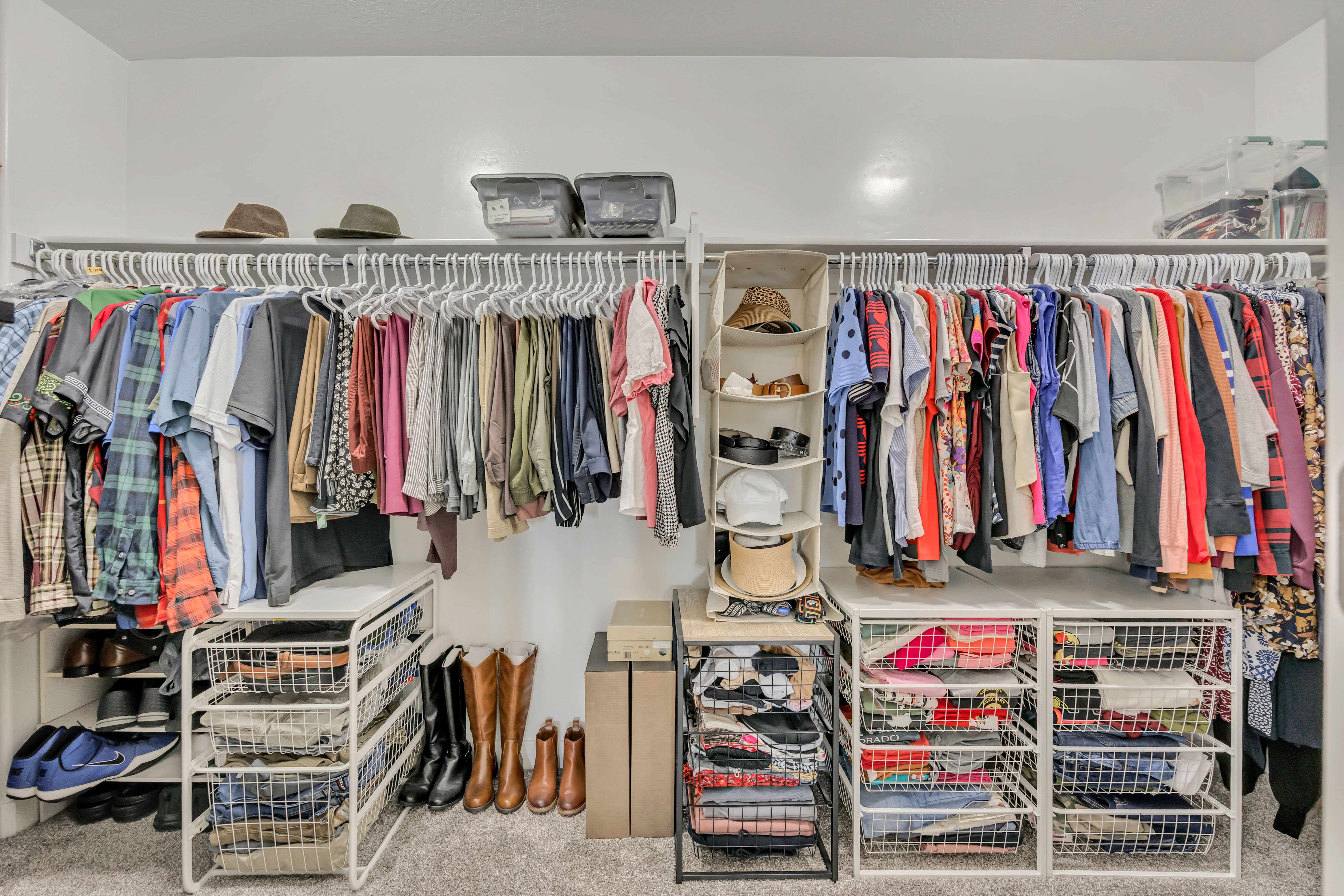 Spacious closet featuring wall-mounted hanging rods, integrated shelving, and carpet flooring