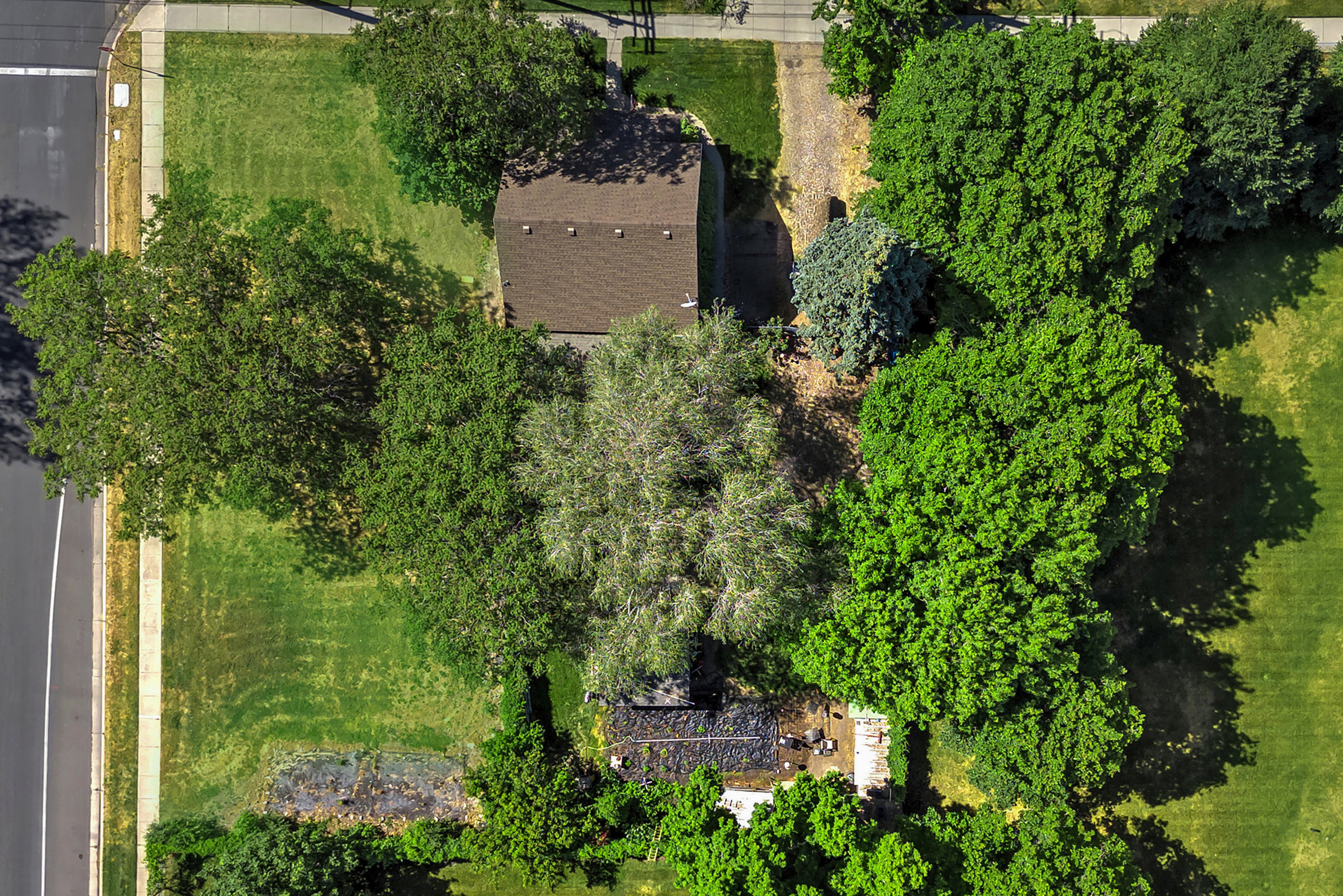 Aerial property overview featuring a brown shingle roof, established landscaping, and mature trees